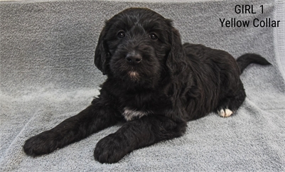 <%$ Resources:Resource, Classifieds %> - Image4