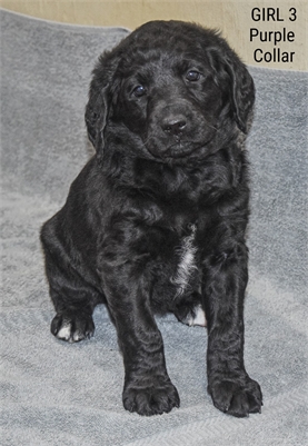 <%$ Resources:Resource, Classifieds %> - Image6