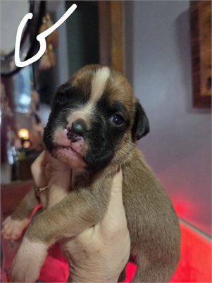 <%$ Resources:Resource, Classifieds %> - Image3