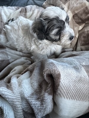 <%$ Resources:Resource, Classifieds %> - Image3