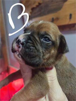 <%$ Resources:Resource, Classifieds %> - Image7