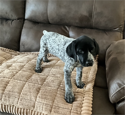 <%$ Resources:Resource, Classifieds %> - Image2