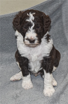 <%$ Resources:Resource, Classifieds %> - Image3