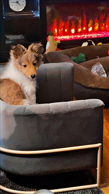 <%$ Resources:Resource, Classifieds %> - Image2