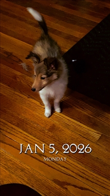 <%$ Resources:Resource, Classifieds %> - Image3