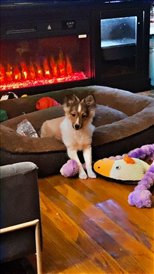 <%$ Resources:Resource, Classifieds %> - Image4